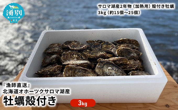 
                  [№5930-0307]『漁師直送』北海道 オホーツク サロマ湖産 牡蠣 殻付き 3キロ カキ 魚貝類 海鮮 2年牡蠣 加熱用 ボリューム カキフライ 鍋 加熱調理 品質 重視 厳選 濃厚 旨味 新鮮 
                