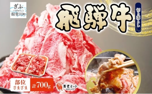 [№5568-0481]飛騨牛 切り落とし 計700g 350g×2パック 和牛 黒毛和牛 国産 国産牛 肉 牛肉 普段使い 炒め物 牛丼 冷凍 小分け 便利 手軽 グルメ カレー ビーフシチュー 煮物 肉じゃが 送料無料 養老ミート 岐阜県 揖斐川町