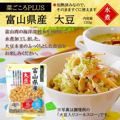 ふるさと納税 射水市 「菜ごころPLUS 富山県産大豆 120g」×20袋 |  | 01