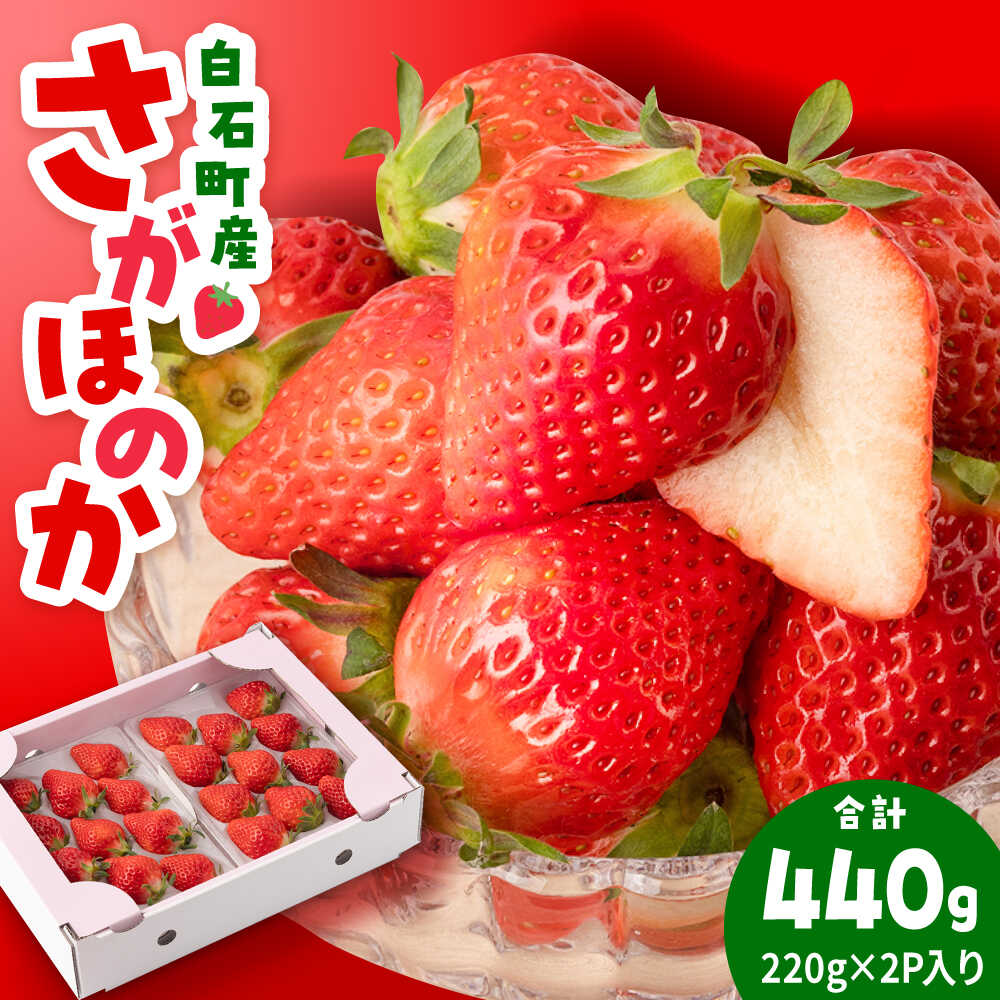 【ふるさと納税】【2026年1月以降発送】白石産いちご「さがほのか」 220g×2パック【岸川農園】 佐賀県 白石 [IAP048]