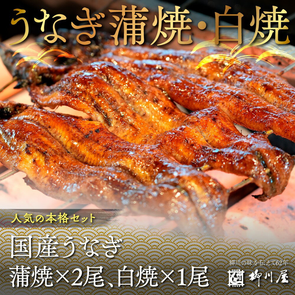 【ふるさと納税】国産うなぎ蒲焼×2尾、白焼×1尾　送料無料 うなぎ 鰻 国産　AF004