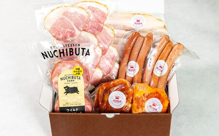 『NUCHIBUTA Cセット』 豚肉 ポークステーキ ハンバーグ ソーセージ ベーコン ハム 詰め合わせ お取り寄せ 国産 ギフト 冷凍 沖縄市 / DELICATESSEN NUCHIBUTA[B