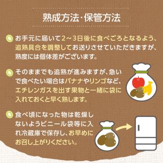 博多あまおう約700g＆博多甘熟娘キウイ約1.8kgセット（化粧箱）【2026年1月発送開始】 あまおう いちご 苺 イチゴ キウイフルーツ 果物 くだもの フルーツ セット アフター補償 ギフト 化