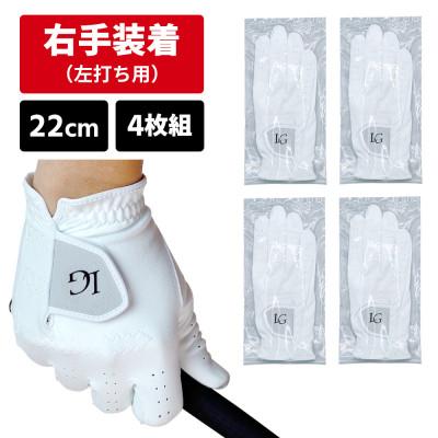 ふるさと納税 東大阪市 [右手装着(左打ち用)][22cm]Larouge オールウェザーソフトフィットグローブ4枚組