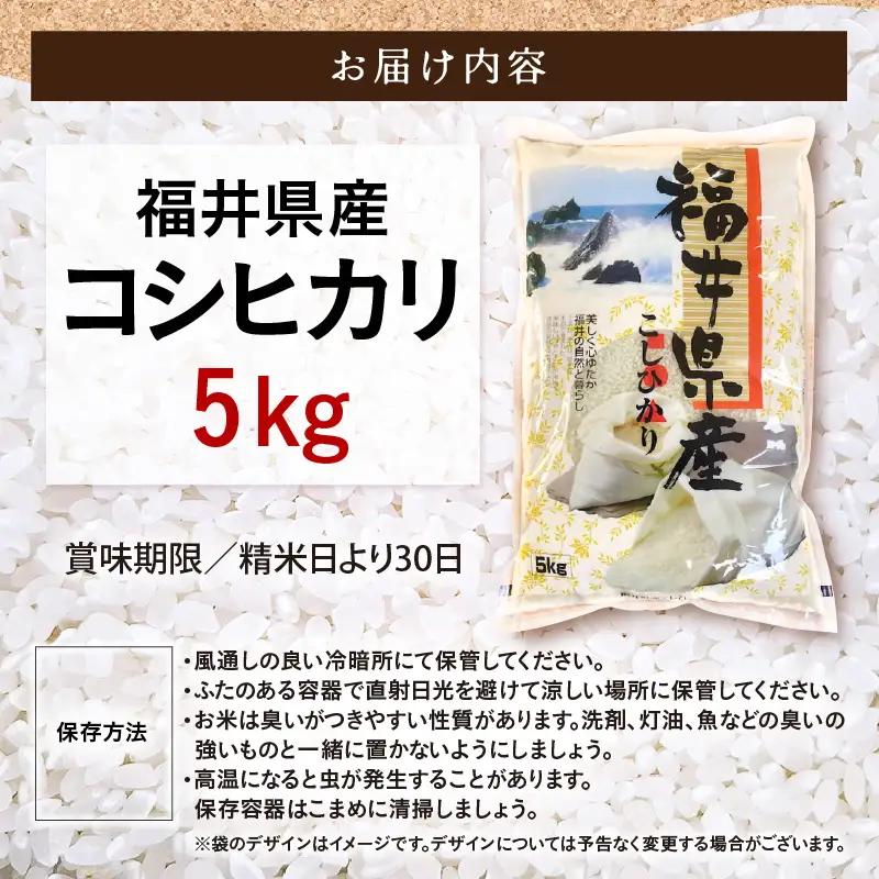 令和7年産  5kg 精米 コシヒカリ 福井県産《14日以内に出荷予定》 [e66-a015]