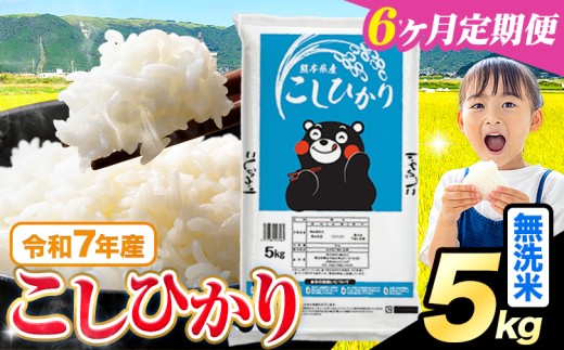 【6ヶ月定期便】令和7年産  無洗米 こしひかり 5kg《お申込みの翌月出荷》熊本県産 ふるさと納税 無洗米 精米 ひの 米 こめ ふるさとのうぜい コシヒカリ コメ お米 おこめ