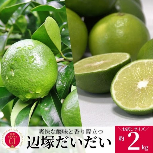 辺塚だいだい 青果 2kg