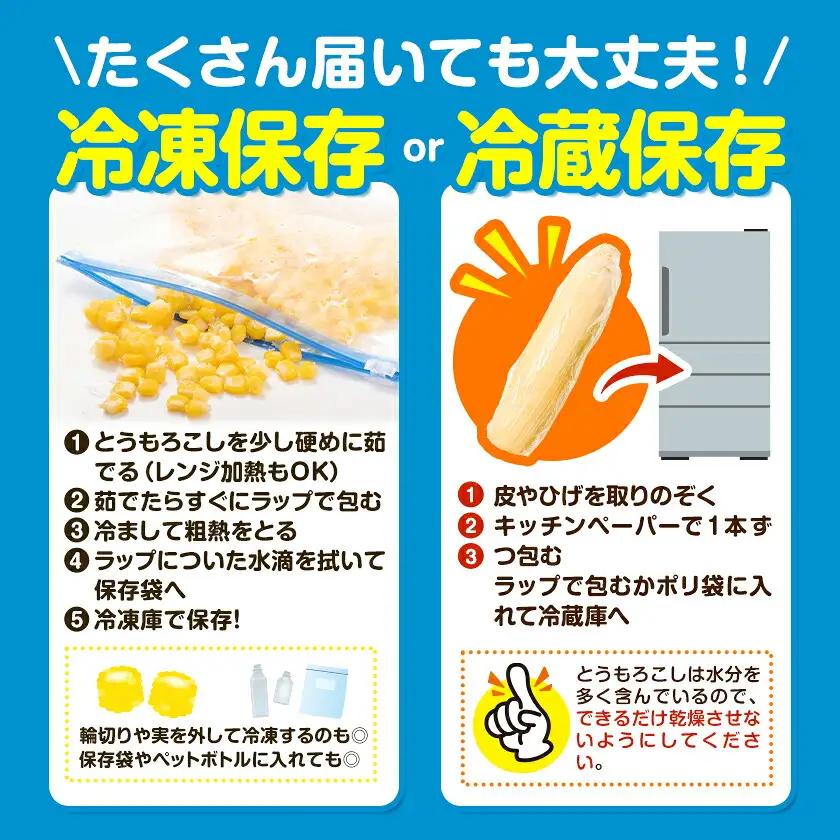 【先行予約】ゴールドラッシュ 黄白 とうもろこし 5kg 北海道 名寄 スイートコーン 食べ比べ