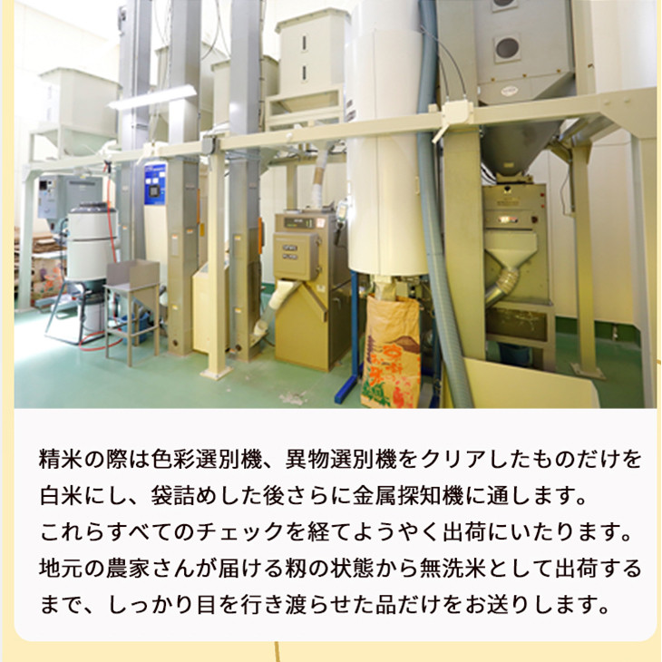 無洗米 10kg （5kg×2袋） 京都丹波産 キヌヒカリ ※受注精米《米 大嘗祭供納品種》※北海道・沖縄・離島への配送不可