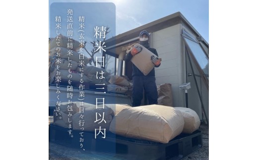 【3ヵ月定期便】八ヶ岳たすき米 コシヒカリ 10kg×1袋　米 白米 精米 ブランド米 おむすび お弁当 仕送りギフト ごはん 国産