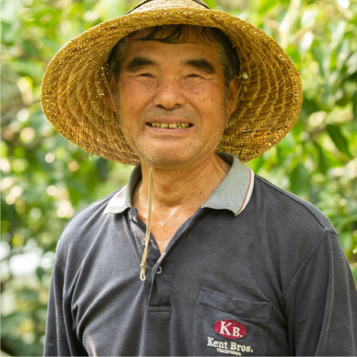 レモン【先行受付】【2025年12月以降発送】【栽培期間中 農薬・除草剤不使用】離島 佐木島！訳ありレモン 約2.5kg   広島 三原 佐木島 鷺島みかんじま 017063