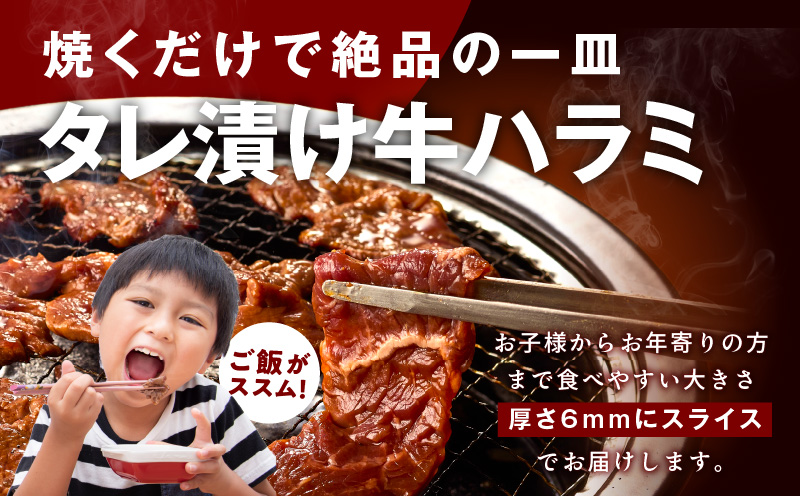 牛タン＆牛ハラミ お試し 1kg 焼肉セット【成型牛たん ハラミ 味付き 牛肉 やきにく BBQ 薄切り スライス 訳あり サイズ不揃い】
