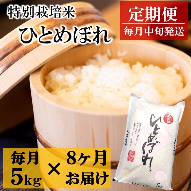 
            令和7年産【定期便8回】竹原田ファームの特別栽培米ひとめぼれ5kg×8回
          
