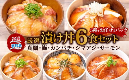 海鮮丼 漬け丼 5種 6食 セット 南予ビージョイ 海鮮丼真鯛海鮮丼海鮮丼海鮮丼海鮮丼 D010-150005