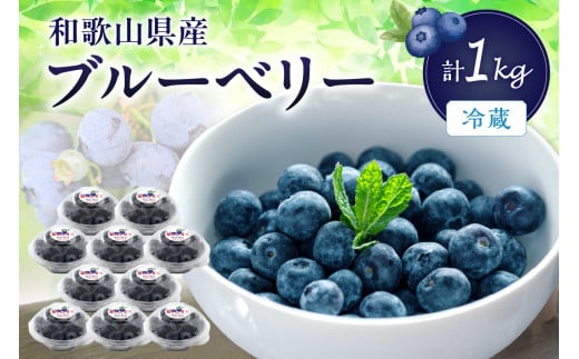 冷蔵ブルーベリー　1ｋｇ《期間限定》