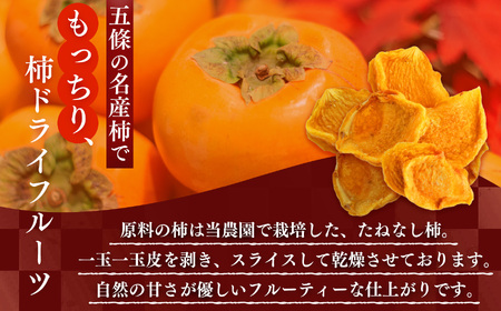 【なら五條の柿】無添加 柿チップ小分け10袋セット | フルーツ 果物 くだもの 柿 かき カキ 柿チップ お菓子 奈良県 五條市