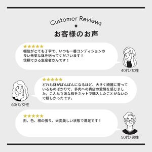 八ヶ岳育ち 多肉植物 eARThコレクション ラベル付き おまかせ詰合せ 2号 10鉢 インテリア多肉植物 おしゃれ多肉植物 ギフト多肉植物 高冷地多肉植物