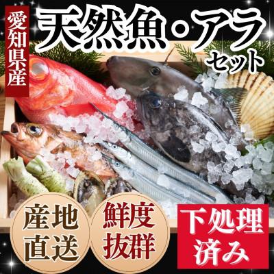 ふるさと納税 南知多町 プロの下処理済み!急速冷凍 天然魚・アラセット(真空パック+煮魚タレ付き)