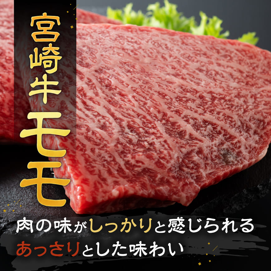 宮崎牛 ステーキ 2種 600g【肉 牛肉 国産 宮崎県産 宮崎牛 黒毛和牛 和牛 ステーキ BBQ 4等級  A4ランク ロース モモ  E11118】