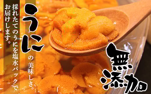 F-90003 無添加蝦夷バフンウニ塩水パック100g×2P