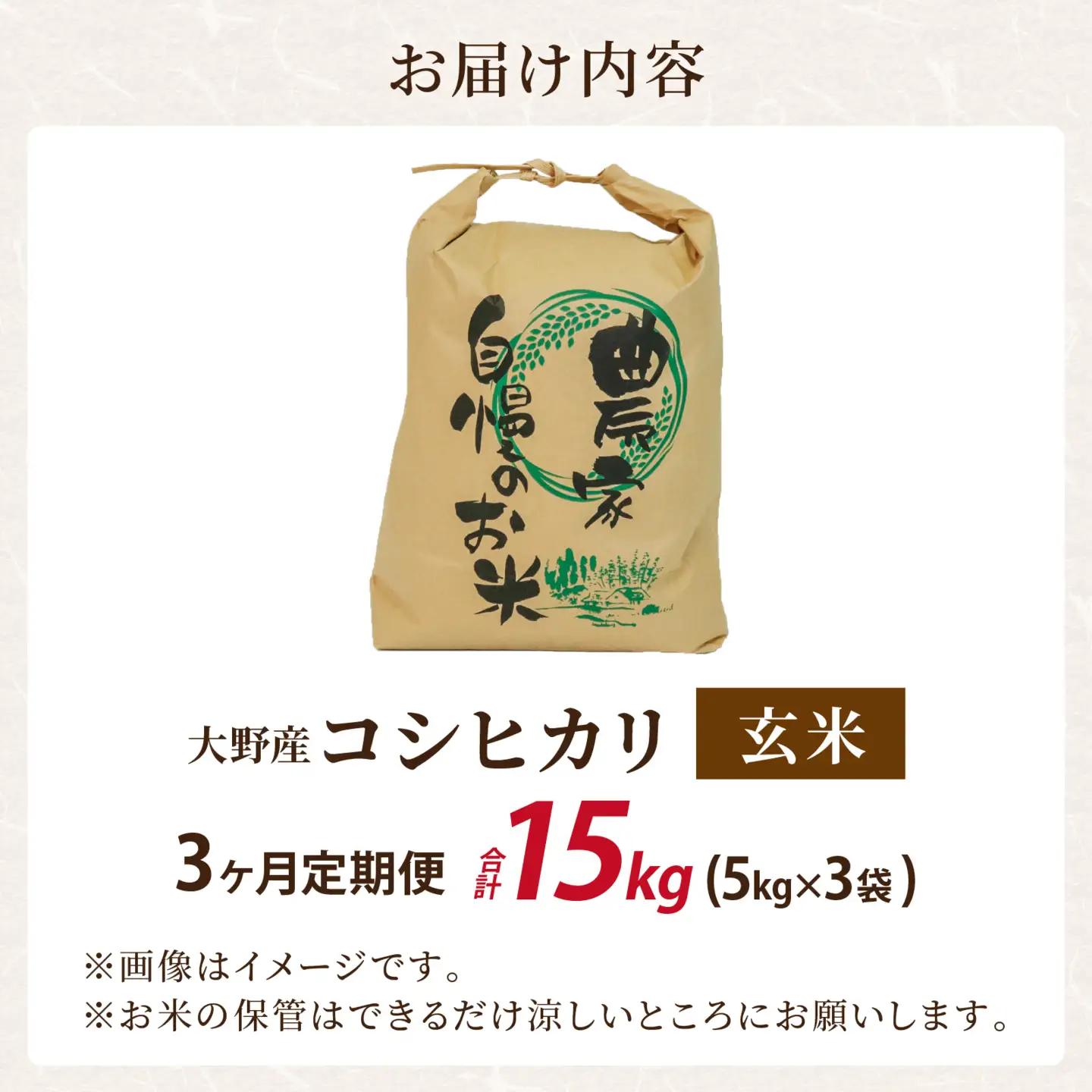 令和8年産 新米 こしひかり 5kg 3回定期便 玄米