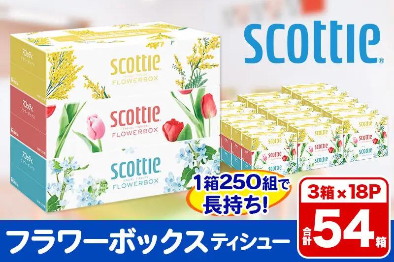 ティッシュペーパー スコッティ フラワーボックス250組 54箱(3箱×18パック)  日用品【レビューキャンペーン中】