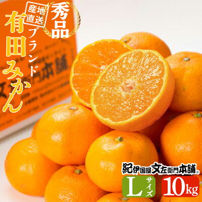V7432_ブランド有田みかん【Ｌ】秀品10kg／産地直送／薄皮で甘い美味しい和歌山県産／紀伊国屋文左衛門本舗（お届け日指定不可）