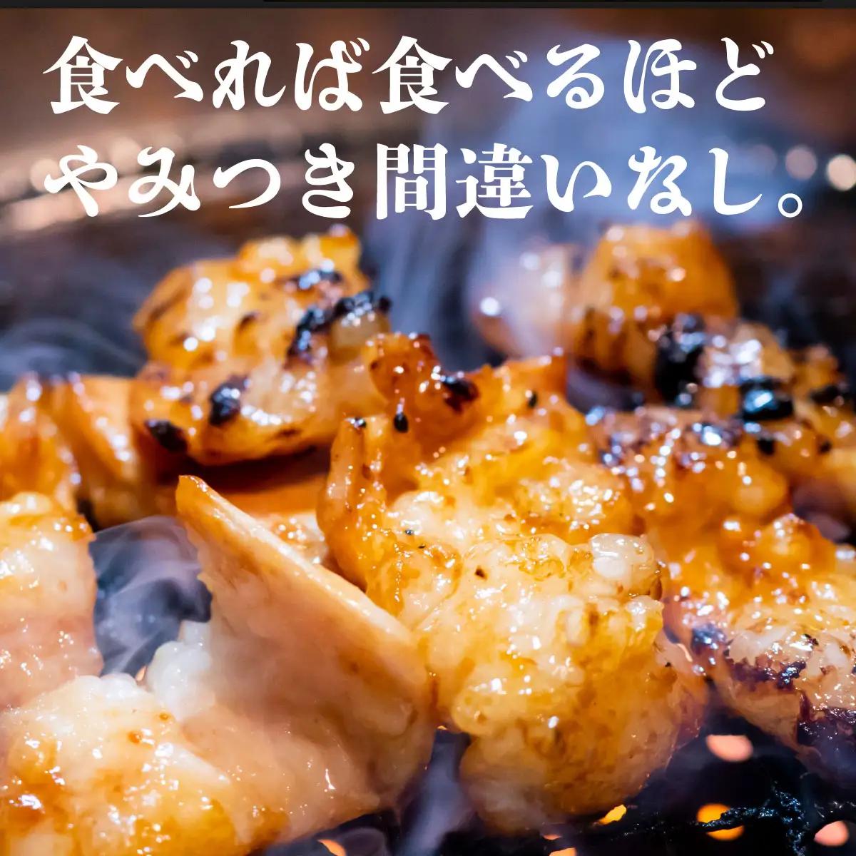 ヤマジュウ厳選 大満足 焼肉 定期便 全6回 【ハラミホルモンコース】