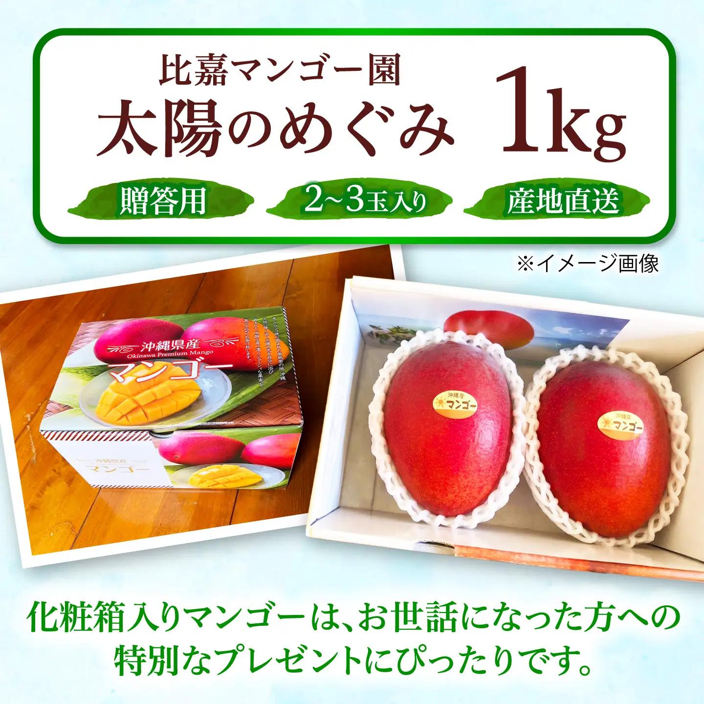 【贈答用】マンゴー 太陽のめぐみ 1kg (化粧箱入り) BCEW001
