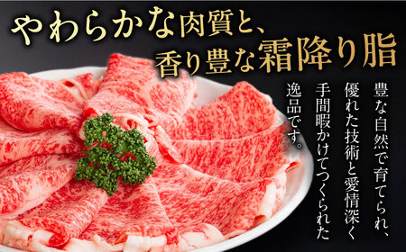 【4回定期便】 A5等級 飛騨牛 食べ比べ ロース すきやき しゃぶしゃぶ サーロインステーキ 牛肉 岐阜市 / だるまミート[ANBE016]