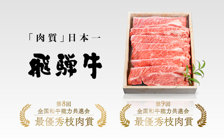 飛騨牛 霜降り すきやき肉 570g すきやき 飛騨市[GU004]