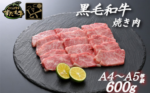 すだち牛 黒毛和牛 （ 焼き肉用 ） 600g 国産 牛肉 焼き肉 焼肉 赤身 冷凍 お肉 肉 ブランド 和牛 霜降り カット 小分け 人気