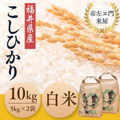 ふるさと納税 小浜市 令和7年産　農家直送　福井県産こしひかり　白米10kg(5kg×2袋)