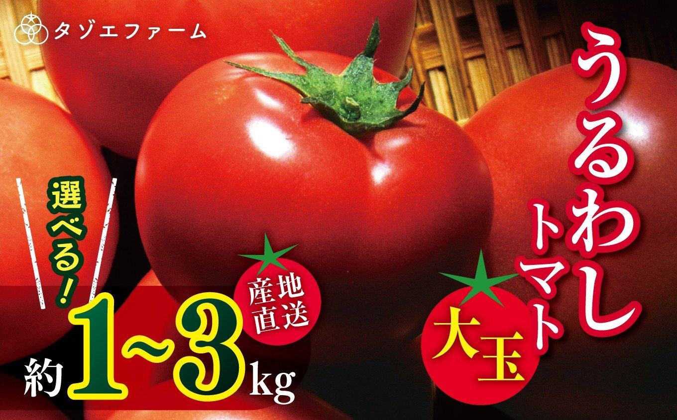
            【タゾエファーム】容量 選べる 1kg 2kg 3kg うるわし トマト 大玉 | 野菜 やさい とまと 産地直送 熊本県 玉名市
          