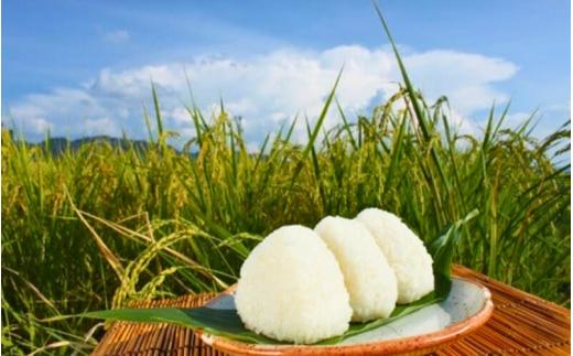 令和8年産 真庭市産 ひとめぼれ 白米 10kg(5kg×2袋） / お米 岡山県 真庭市 白米 米 ひとめぼれ 2026年産 【tkns002-02】