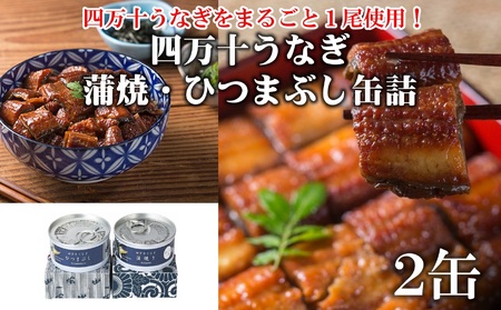 四万十うなぎ缶詰 2缶 鰻 うなぎ ［1295］