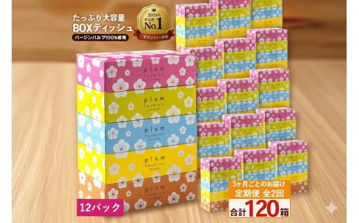 定期便 3か月毎 全2回 プラムファッション ボックスティッシュ 5箱×12パック  [ ティッシュ ティッシュペーパー BOXティッシュ 箱ティッシュ 大容量 まとめ買い 日用品 消耗品 生活用品 常備品 必需品 紙 パルプ100% 蛍光染料不使用 日本製 国産 家庭用 業務用 防災備蓄 まとめ買い 備蓄 防災 ティッシュペーパー てぃっしゅ ティッシュ 香川県 三豊市 ]