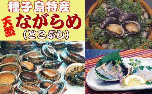 【 数量限定 】種子島特産　ナガラメ（とこぶし）300ｇ　NFN140 【400pt】 // 高級食材 トコブシ とこぶし ながらめ ナガラメ