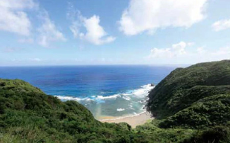 東村の軟水【やんばる 森の天然水】　2L×6本