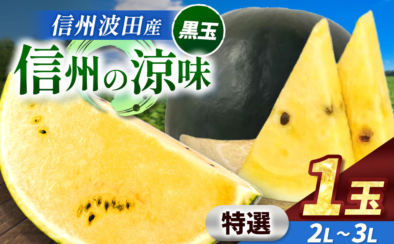 
            【先行受付：2026年7月発送】信州波田産 高級 黒玉スイカ！信州の涼味 【特選】 2L～3Lサイズ 1玉｜ふるさと納税 長野県 信州 松本 果物 フルーツ すいか スイカ 西瓜 贈答 季節限定 甘い くだもの ふるーつ
          