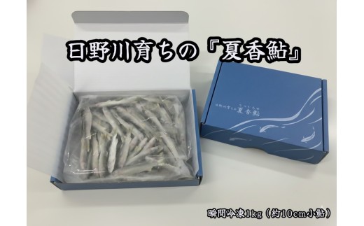 日野川育ちの「夏香鮎」瞬間冷凍１kg　(約10㎝小鮎）