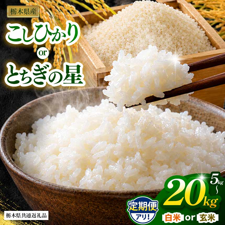 【ふるさと納税】 米 お米 定期便 米5kg 米10kg 先行予約 栃木県共通返礼品 コシヒカリ とちぎの星 玄米 白米 令和8年度産 5kg 10kg 15kg 20kg | こしひかり コシヒカリ とちぎの星 お米 米 okome kome 玄米 白米 精米 ご飯 栃木県 那珂川町 送料無料