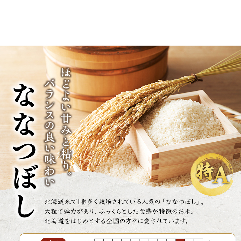 米 ななつぼし 計20kg (5kg×4袋) 令和7年産 白米 精米 農家直送 お米 こめ おこめ コメ 単一原料米 ブランド米 特A米 特A 北海道米 北海道産 米ななつぼし ご飯 ごはん 北海道 