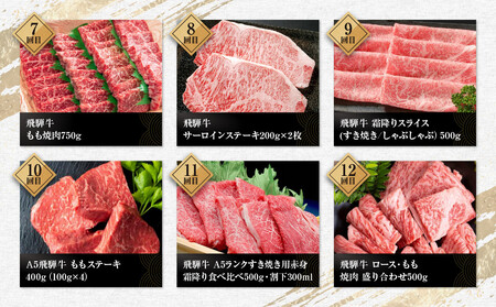 【飛騨牛 定期便】＜全12回＞ 毎月届く 計6.85kg | 肉 牛肉 大満足 お楽しみ ステーキ しゃぶしゃぶ 食べ比べ 焼き肉 すき焼 サーロイン サイコロ ランプ 赤身 黒毛和牛 岐阜 高山 人