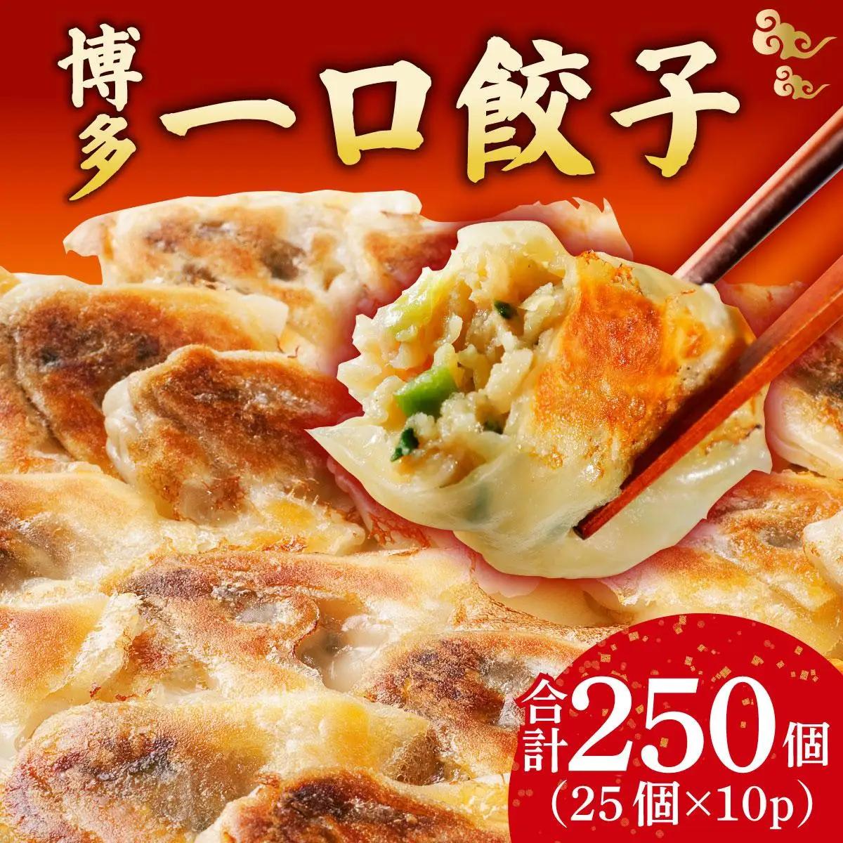  冷凍 博多一口餃子 25個入り×10パック