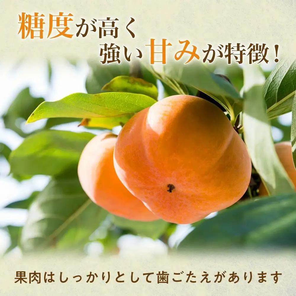 【令和8年産柿/先行予約】 20～26玉 多気町発祥 前川次郎 柿