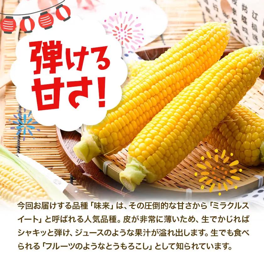 トウモロコシ 味来 夏祭り 約5kg 13本前後《6月中旬-7月中旬頃出荷予定》【配送不可地域あり】(北海道・沖縄・離島)