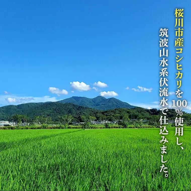 《 テレビで紹介 》食べるあまざけ 12本セット お米 米麹 甘酒 国産 麹 甘酒 発酵食品 ホット アイス ノンアルコール 茨城県産 飲む点滴 アド街ック天国 アド街 [AD002sa]
