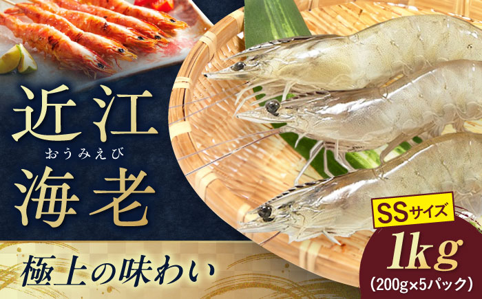 
                  近江海老 SSサイズ 1kg 滋賀県長浜市/ワボウ電子株式会社 [AQBA007]  エビ 海老 えび 海鮮 魚介類 魚貝類 魚介 下処理不要 冷凍 業務用 小分け 国産 刺身 刺し身  近江海老 新鮮 ぷりぷり 甘い 刺身 天ぷら 海鮮丼 鍋料理 海老しゃぶ 魚介 贈答用 人気 料理素材 お取り寄せ 丸ごと
                