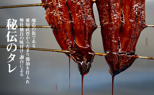 【定期便】三河一色産うなぎ蒲焼特大2尾(320g以上)×3回・R013